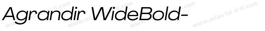Agrandir WideBold字体转换